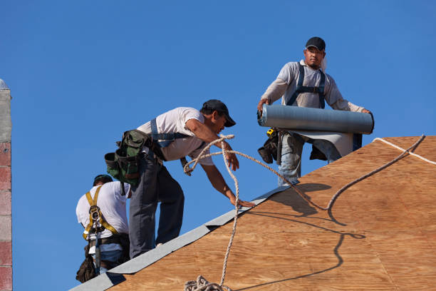 Professional Roofing Contractor in Cibolo, TX