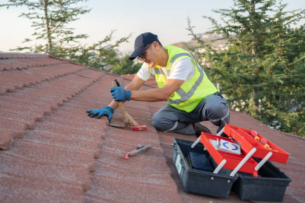 Professional Roofing Contractor in Cibolo, TX
